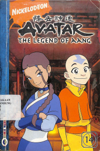 Avatar The Legend of Aang 14