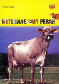 Beternak Sapi Perah